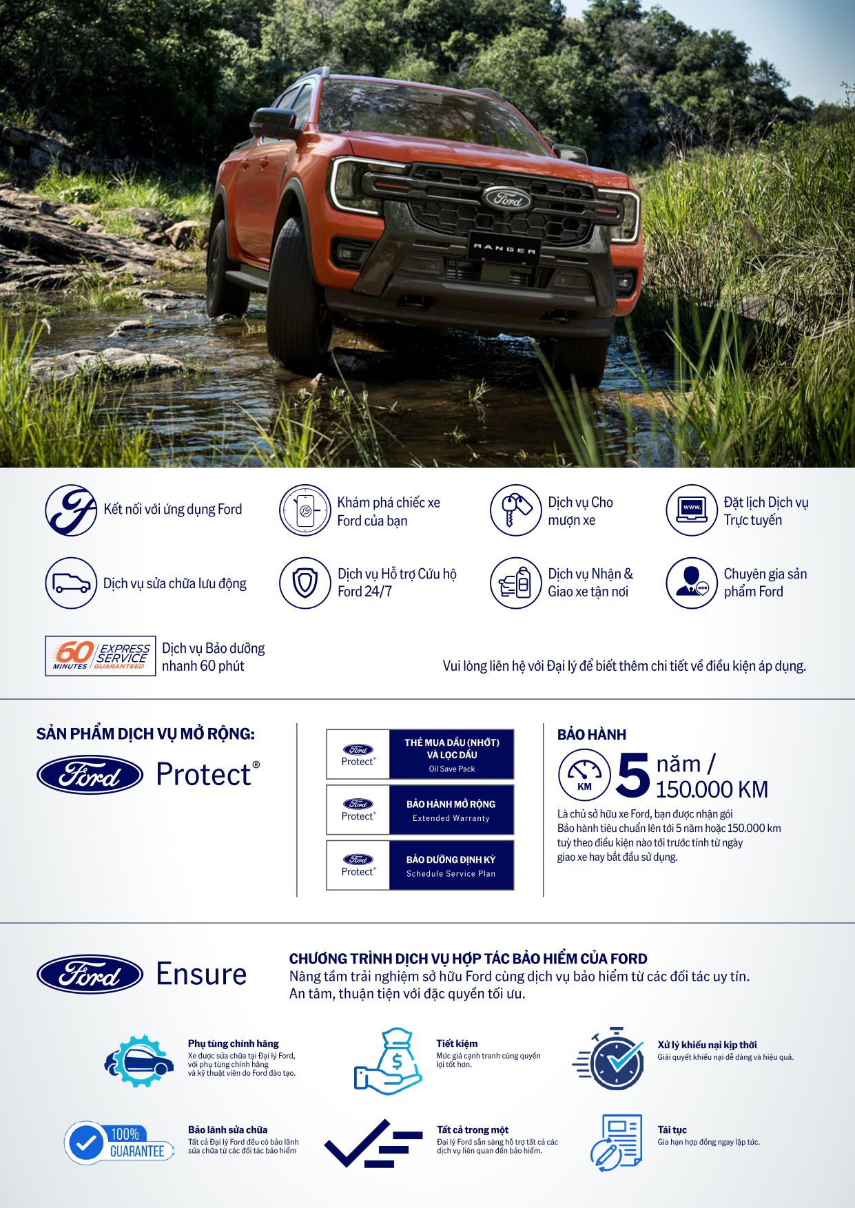 wildtrak v6