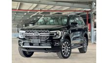 Everest Platinum